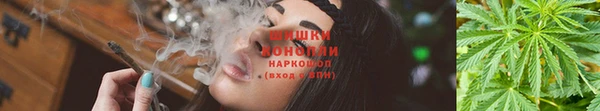 мет Карпинск