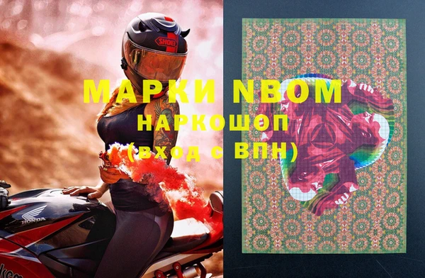 ПСИЛОЦИБИНОВЫЕ ГРИБЫ Карталы