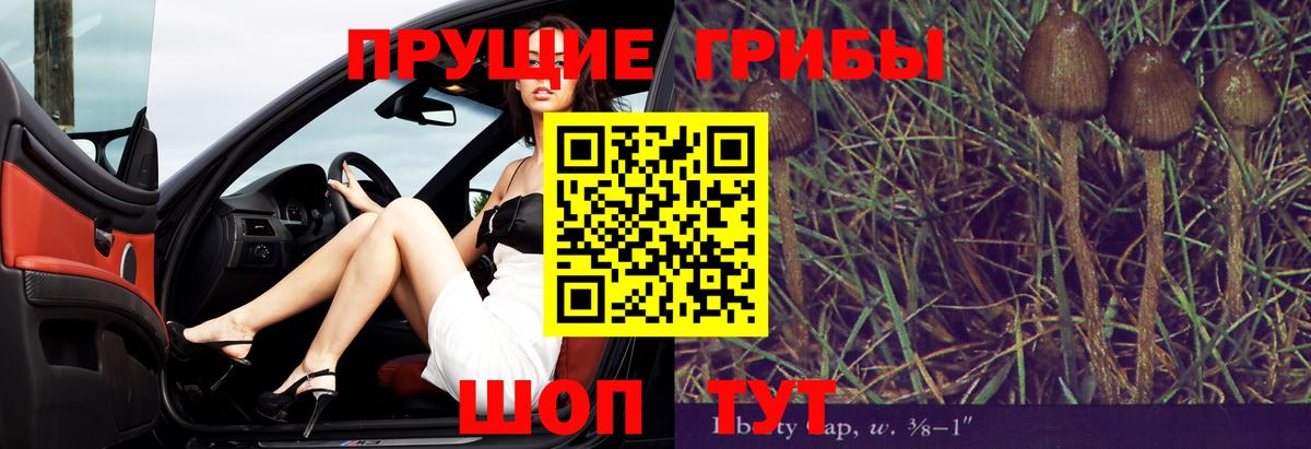Севастополь  Псилоцибиновые грибы прущие грибы  Вход с VPN 
